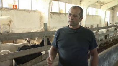 Защо животновъди ликвидират бизнеса си?