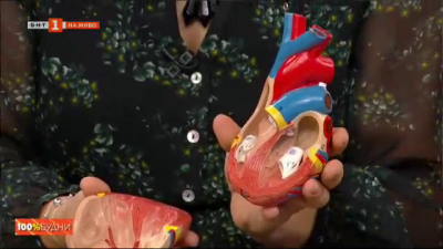 Какви грижи да полагаме за сърцето си и какви са последните иновации в сърдечните операции
