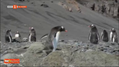 Уроците от Антарктида