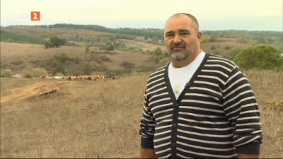 Био ферма в Странджа отглежда крави и коне на свободна паша