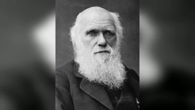 Отбелязваме Международния ден на Дарвин и еволюцията