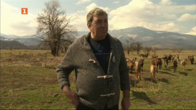 Ферма за козе сирене в с. Ягодово, община Берковица