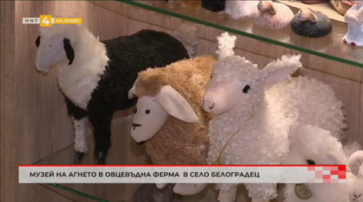 Музей на агнето в овцевъдна ферма в село Белоградец