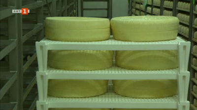 Прочутото истърско сирене в Хърватия и неговият път до световните пазари