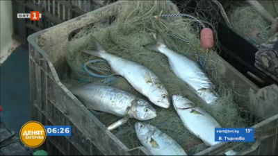 Доволни ли са рибарите във Варна от улова?