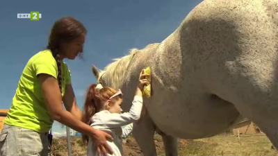 Нов метод на терапия с коне помага на деца със специфични потребности