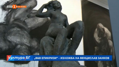 Изложбата „Епикризи“ в галерия „Васка Емануилова“