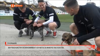 Футболисти осиновяват кученца, за да дадат добър пример в борбата с изоставените животни
