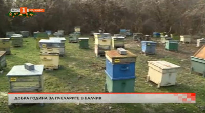 Добра година за пчеларите в Балчик
