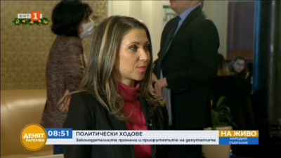Искра Михайлова: Възраждане се противопоставят срещу зеления сертификат за цялото население