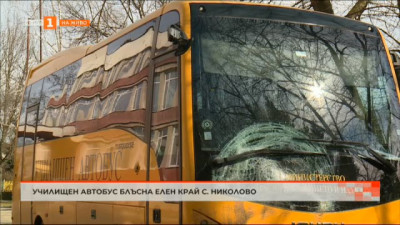 Училищен автобус блъсна елен край с. Николово