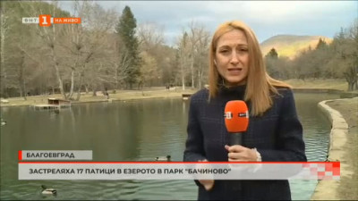 Застреляха 17 патици в езерото в парк Бачиново