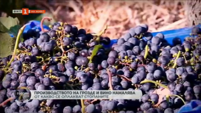 Защо производството на грозде и вино в България върви надолу