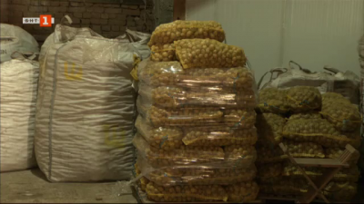 Производители от Самоковско: Има опасност от нашия пазар да изчезнат българските картофи