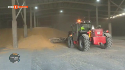 Производители на зърно предупреждават, че държавата ще изгуби 500 млн. лв., ако изкупува зърно сега
