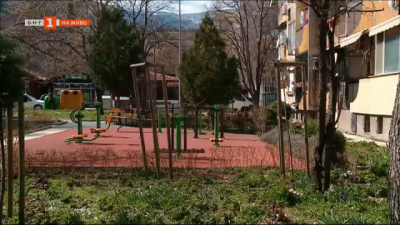 Домашен питбул нападна и рани дете в Асеновград