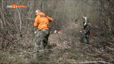 Ловци разчистват гората