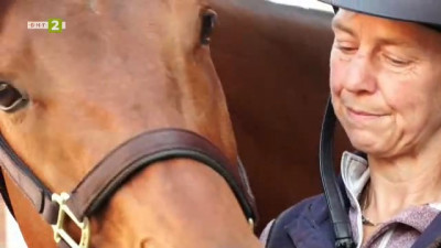  Пенсионирани състезателни коне се преквалифицират в терапевтични животни 