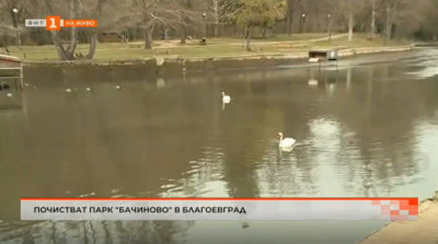 Почистват парк Бачиново в Благоевград