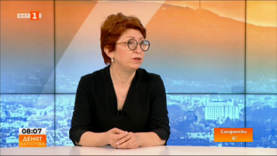 Рена Стефанова, ПП: В коалиция от 4 партии са възможни разногласия