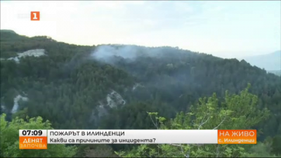Овладян е пожарът в землището на село Илинденци 