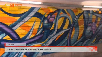 Графити фестивал преобрази подлеза на Централна автогара в София
