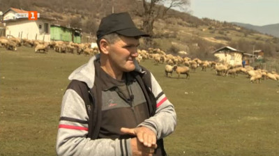 Как в една фамилна ферма в село Драгинево живеят и работят три поколения