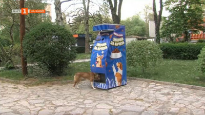 В Пещера монтираха рециклираща машина, която пуска храна за бездомните кучета