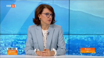 Валентина Маджарова: Буферният период от 6 месеца е необходим, за да може да бъде изпълнен законът