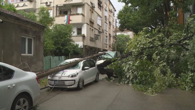 Над 300 служители в Русе разчистват щетите от сутрешната буря