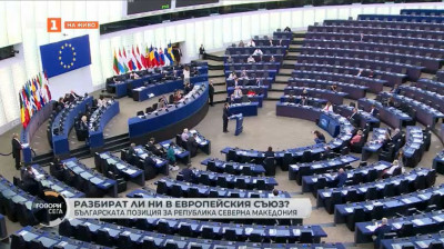 Български историци разясниха позицията ни за РСМ на Кръгла маса в Европарламента
