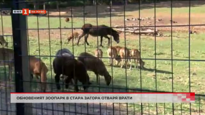 Обновеният зоопарк в Стара Загора отваря врати