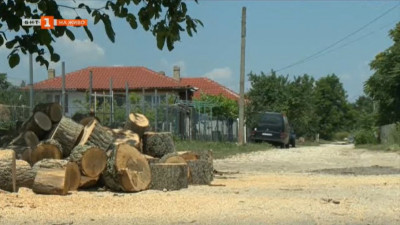 Бавят се доставките на дърва за огрев в над 10 провадийски села