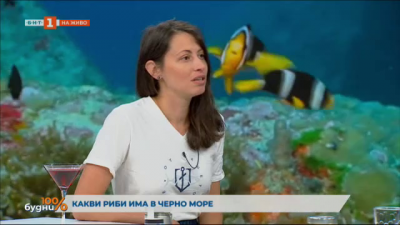 Какви риби има в Черно море