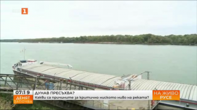 Дунав пресъхва - какви са причините за критично ниското ниво на реката?                                                    