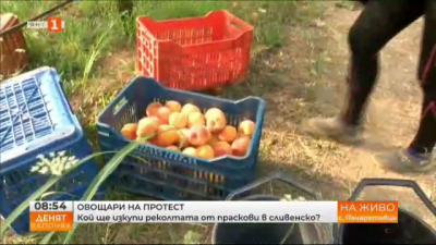 Овощари на протест - кой ще изкупи реколтата от праскови в сливенско