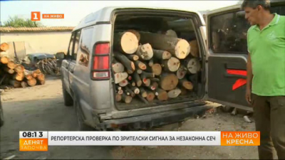 Зачестяват нарушенията с нелегална сеч и превозване на дърва за огрев