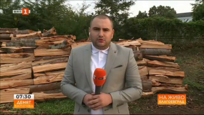 Има ли недостиг на дърва за огрев в Благоевградско след забраната за износ?