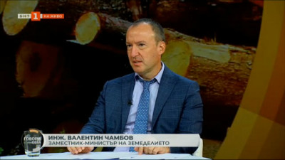 Зам.-земеделският министър: Сечта в държавните гори се извършва основно от частни фирми