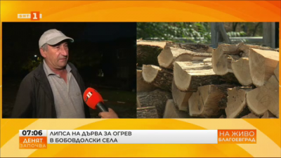 Липсват на дърва за огрев в бобовдолски села