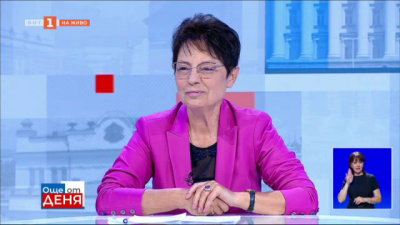 Ирена Анастасова: Разбирателство за парите трябва да бъде постигнато, защото става дума за оцеляването на големи групи хора