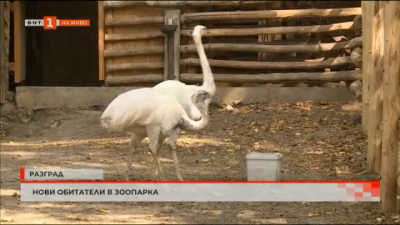 Зоопаркът в Разград с нови обитатели