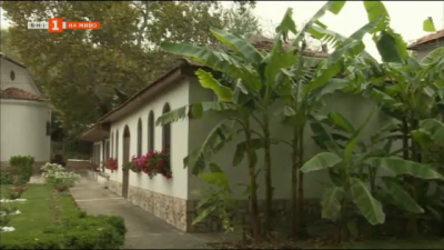 Свещеник е превърнал двора на селски храм в своеобразна райска градина