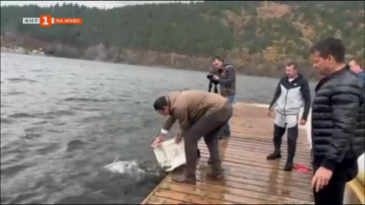 Зарибяват езерото Панчарево срещу замърсяване