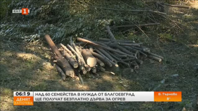 Над 60 семейства от Благоевград ще получат безплатно дърва за огрев