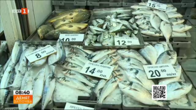 В навечерието на Никулден: Какви са цените на рибната борса във Варна?