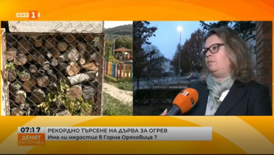 Рекордно търсене на дърва за огрев - има ли недостиг в Горна Оряховица