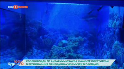 Соленоводен 3D аквариум очаква малките посетители в Регионалния природонаучен музей в Пловдив