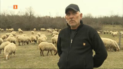 Фермерът Александър Борисов от Брацигово: Няма ясни правила, които да следваме