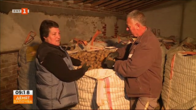Пари от гурбет инвестирани в българско земеделие - семейство от Огняново влага спечеленото в производството на картофи